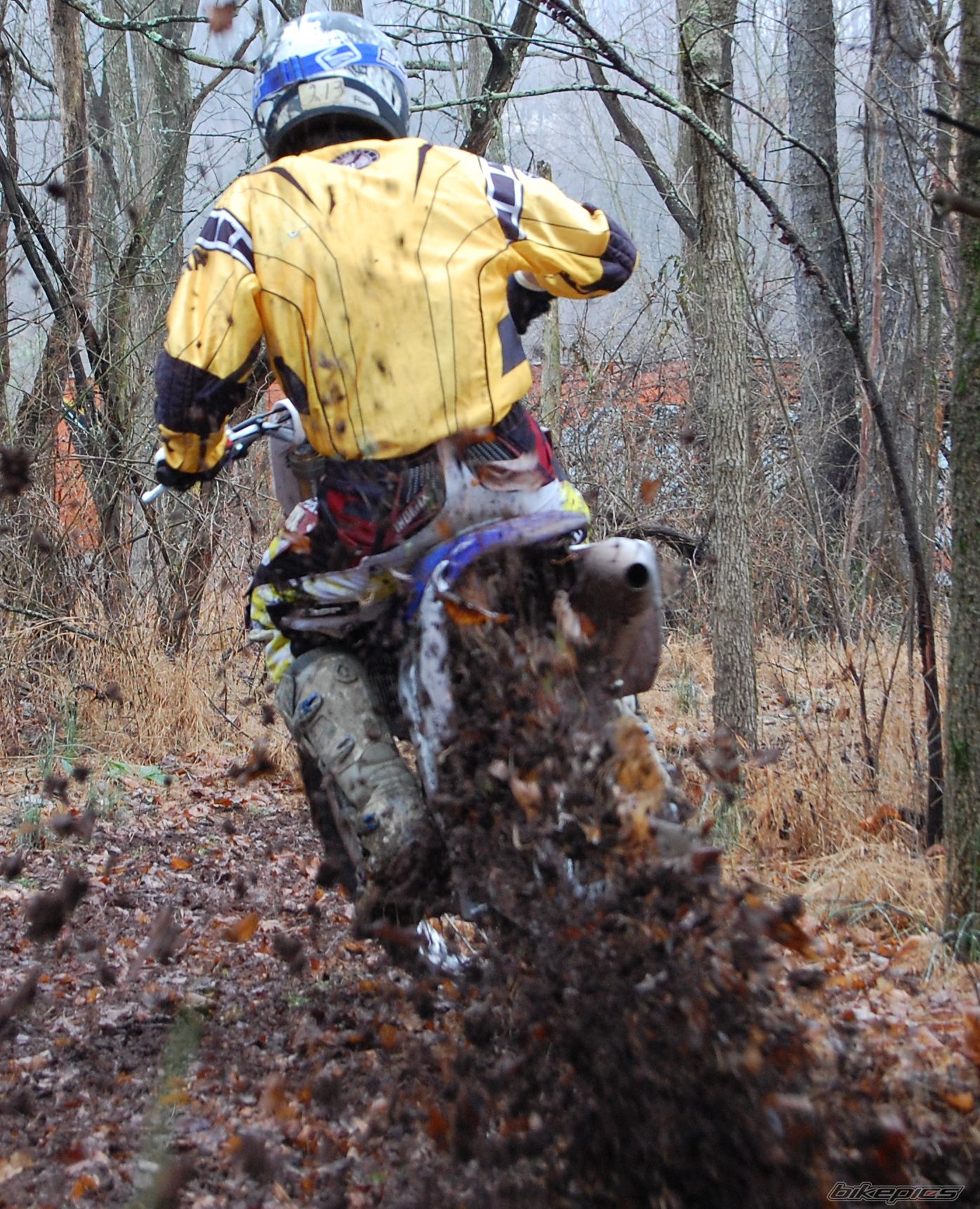 2007 YAMAHA YZ 250F | Picture 771445 motorcycle photo