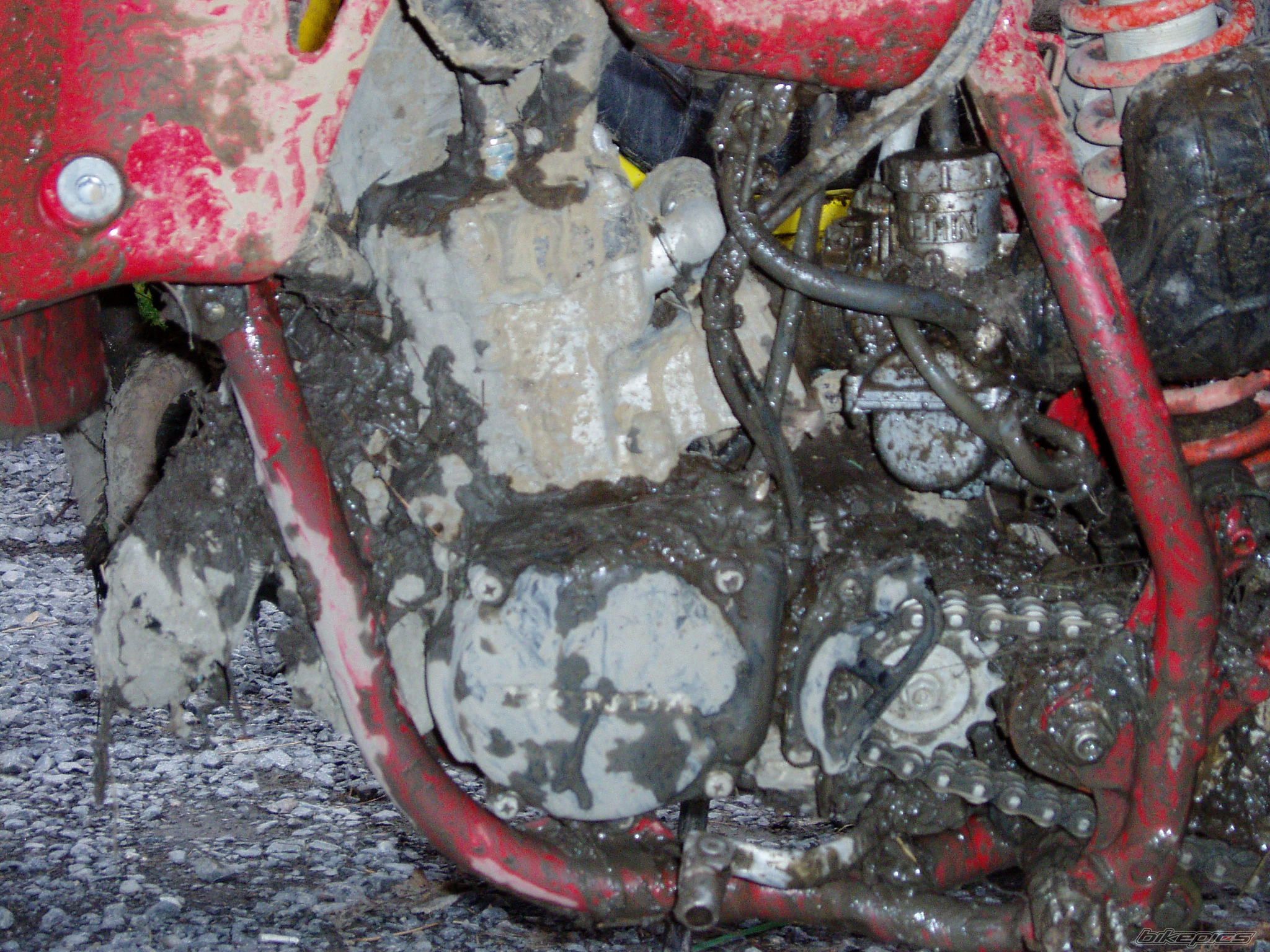 1984 HONDA CR 125 | Picture 771622 motorcycle photo