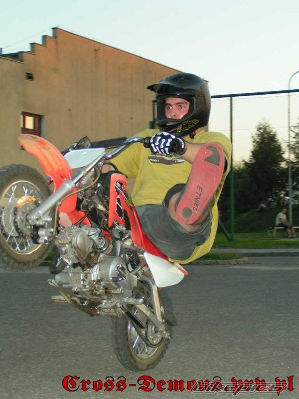 2006 HONDA CRF 50 | Picture 771923 motorcycle photo