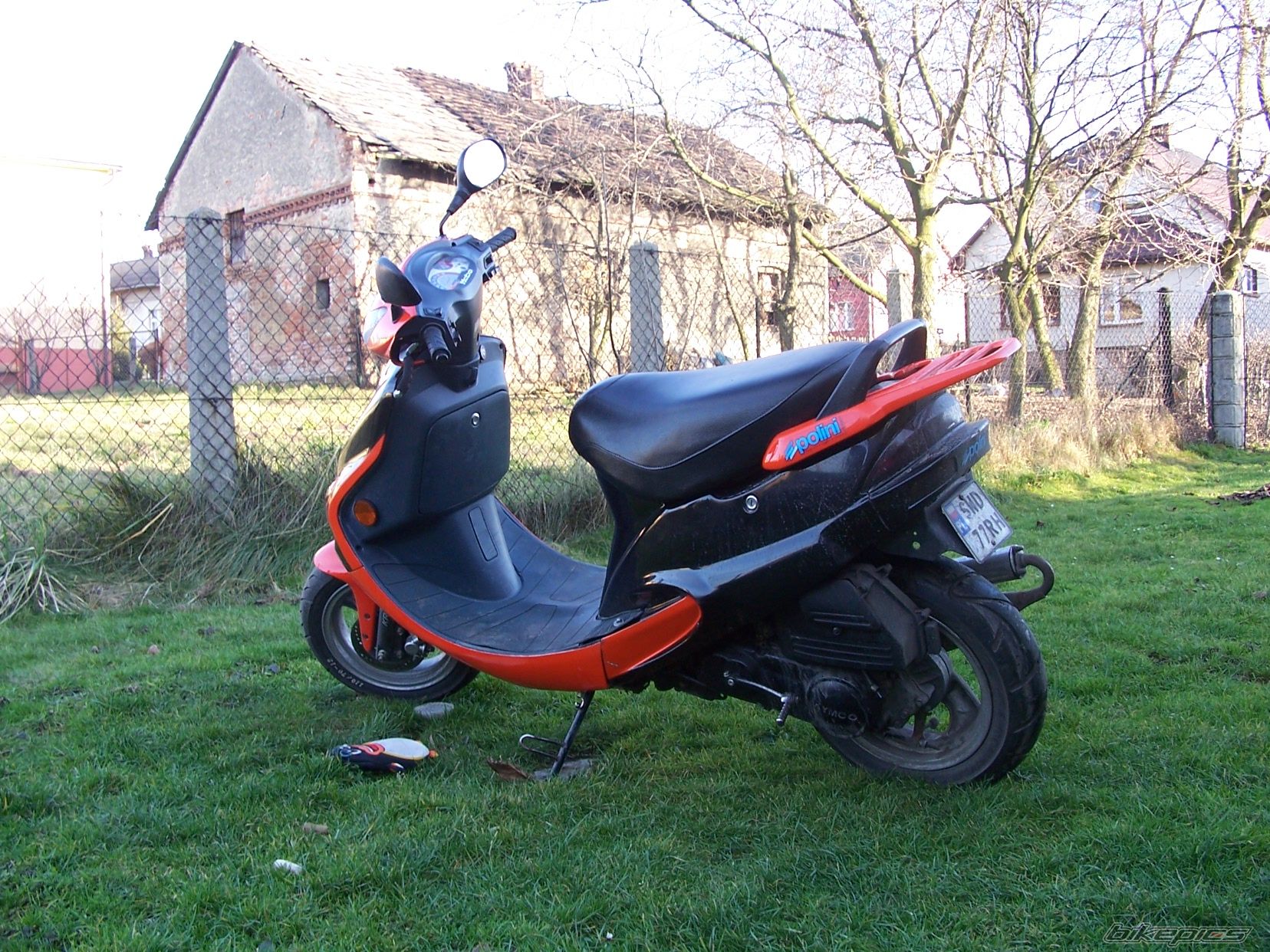 2003 KYMCO ZX 50 | Picture 771987 motorcycle photo