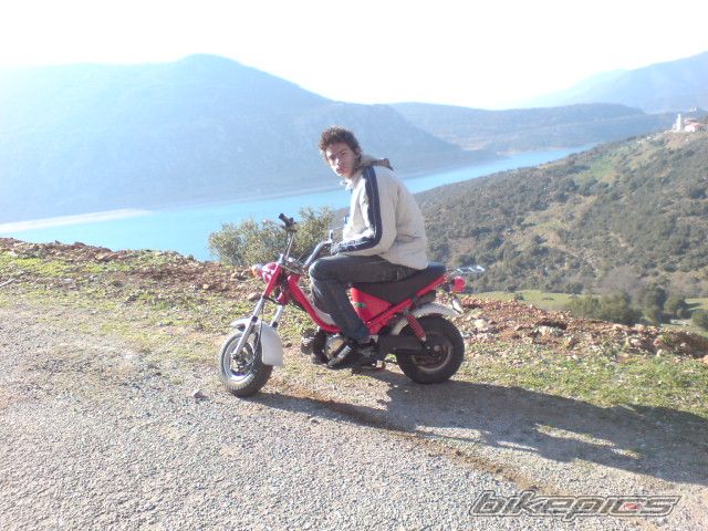 2007 YAMAHA LB 50 CHAPPY | Picture 772511 motorcycle photo