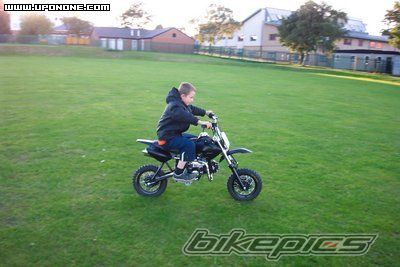 1995 HONDA CBR 900 | Picture 772627 motorcycle photo