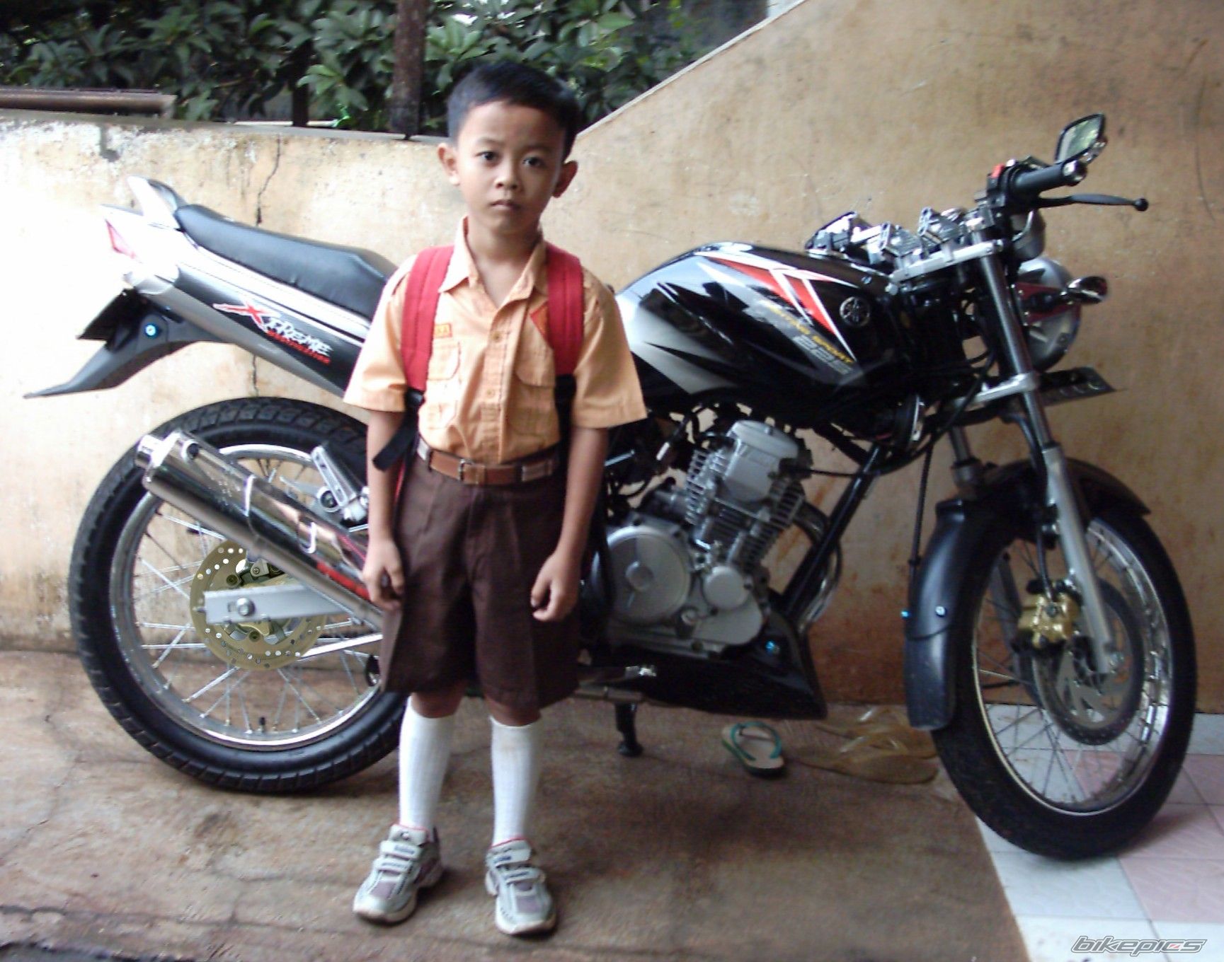 2007 YAMAHA SCORPIO 225 | Picture 772628 motorcycle photo