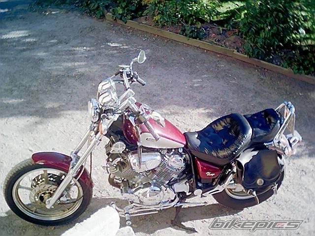 1988 YAMAHA VIRAGO XV750 | Picture 77270 motorcycle photo