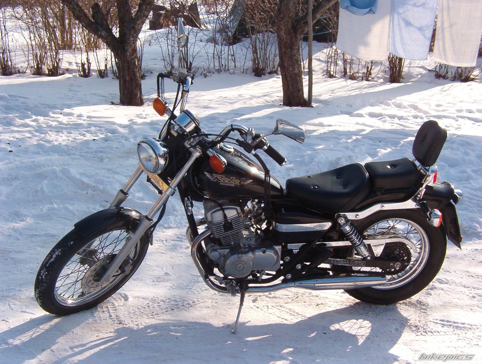 1996 HONDA CMX 250 | Picture 77274 motorcycle photo