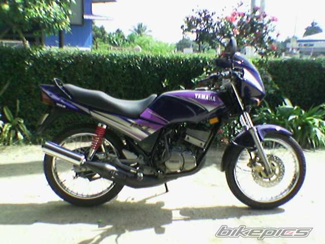 1995 YAMAHA RXZ 135 | Picture 772806 motorcycle photo