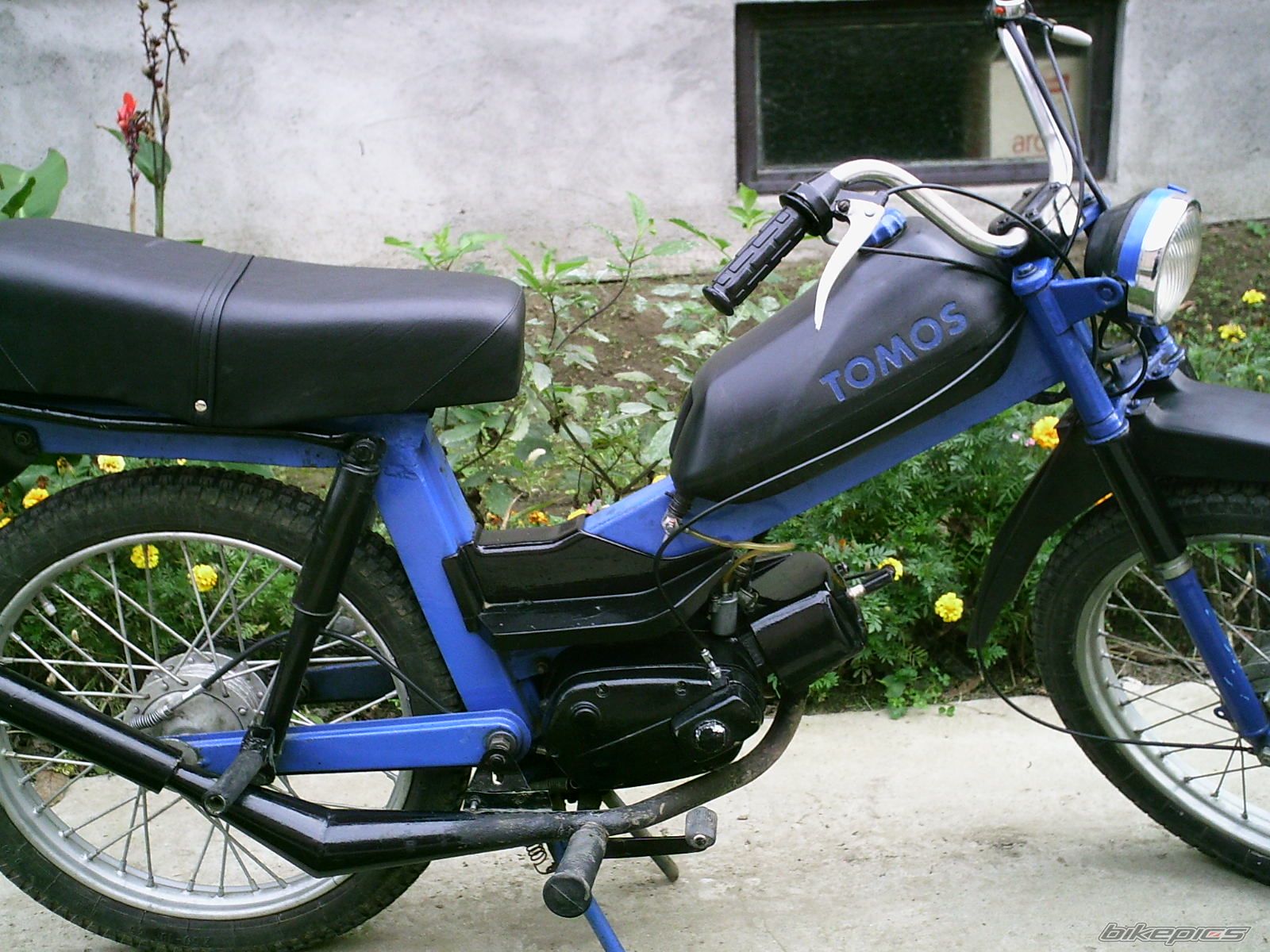 1983 TOMOS APN 6 | Picture 773383 motorcycle photo