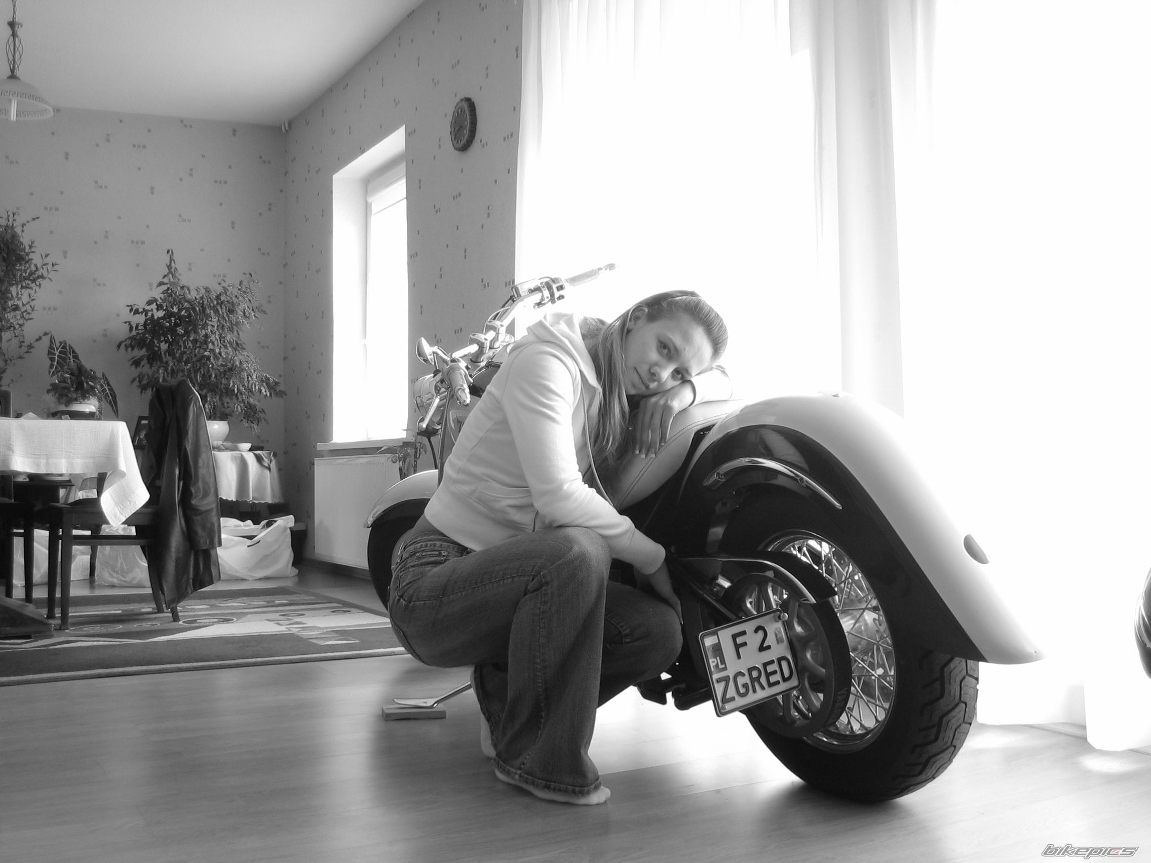 1998 HONDA CBR 900 | Picture 773859 motorcycle photo