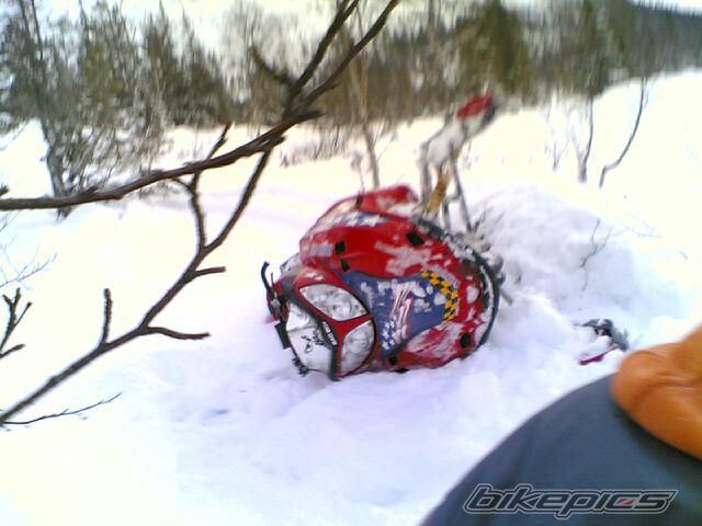 2003 ARCTIC CAT FIRE CAT F7 SNO PRO | Picture 773952 motorcycle photo