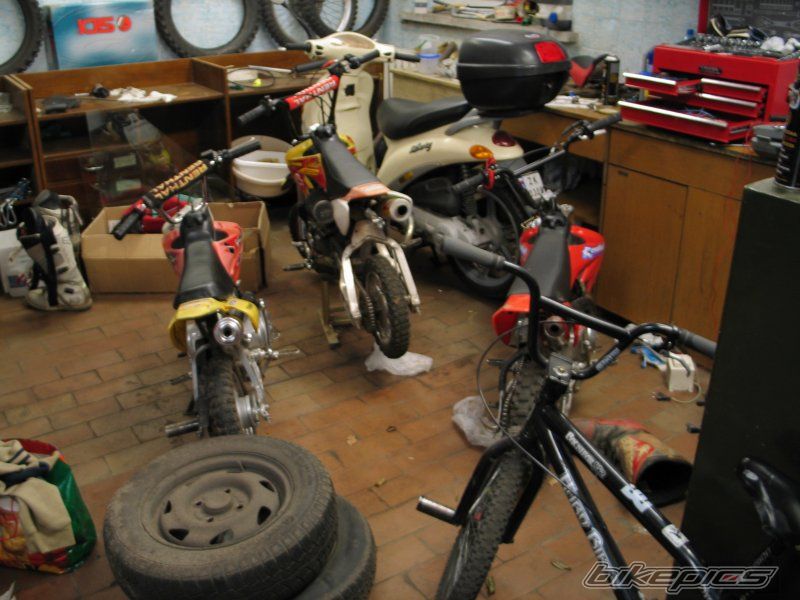 2006 HONDA CRF 50 | Picture 774586 motorcycle photo