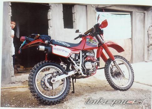 2002 HONDA XLR 250 | Picture 774661 motorcycle photo