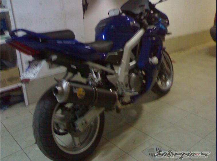 2003 SUZUKI SV 650S | Picture 774991 motorcycle photo