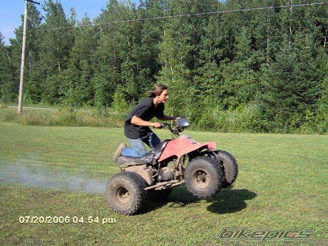 1987 SUZUKI ALT 185 | Picture 775063 motorcycle photo