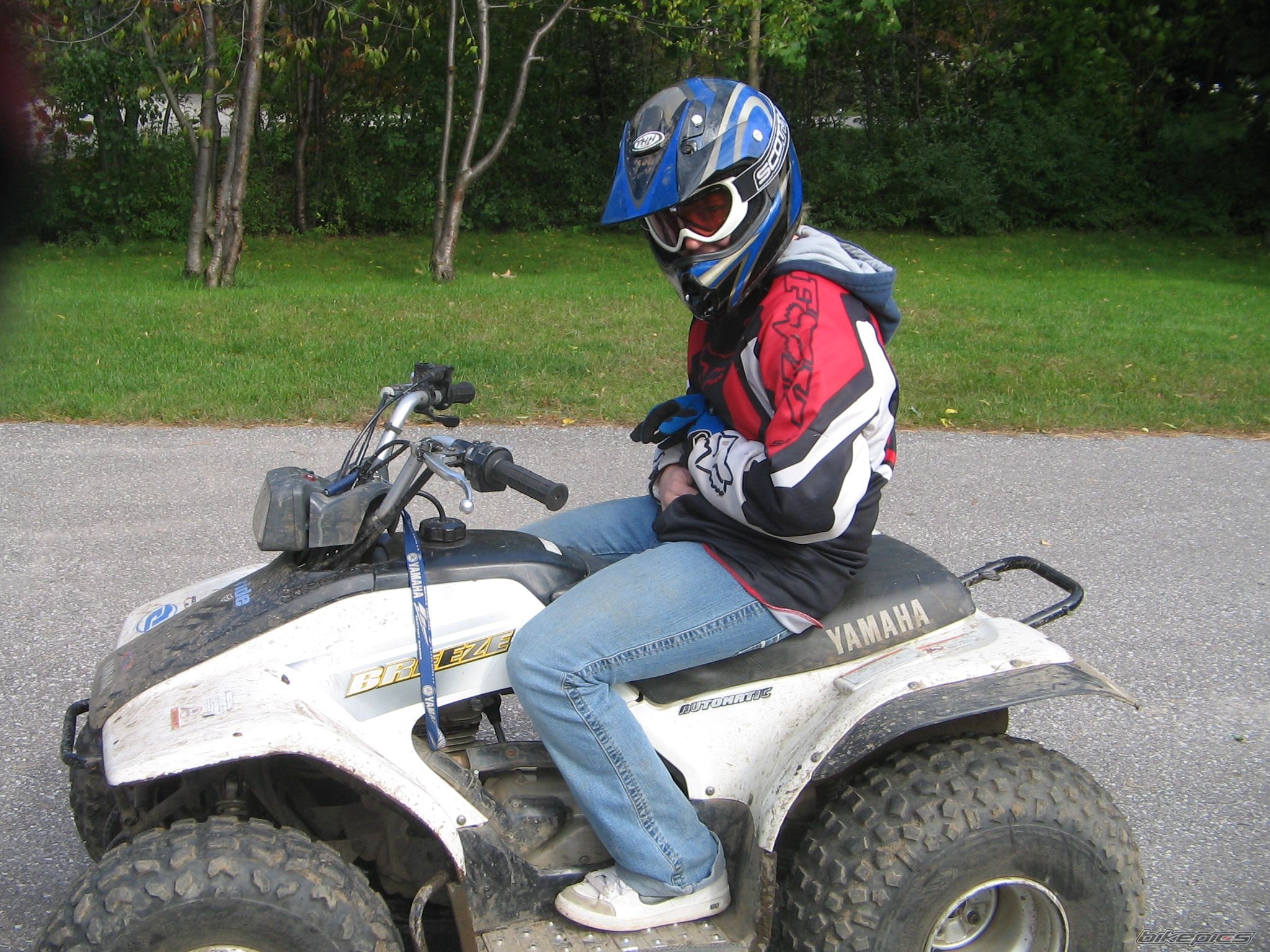 2002 YAMAHA BREEZE | Picture 775316 motorcycle photo