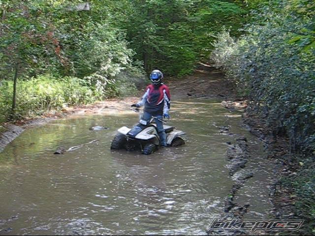 2002 YAMAHA BREEZE | Picture 775324 motorcycle photo