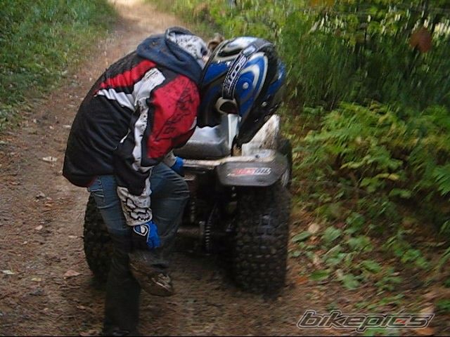 2002 YAMAHA BREEZE | Picture 775331 motorcycle photo