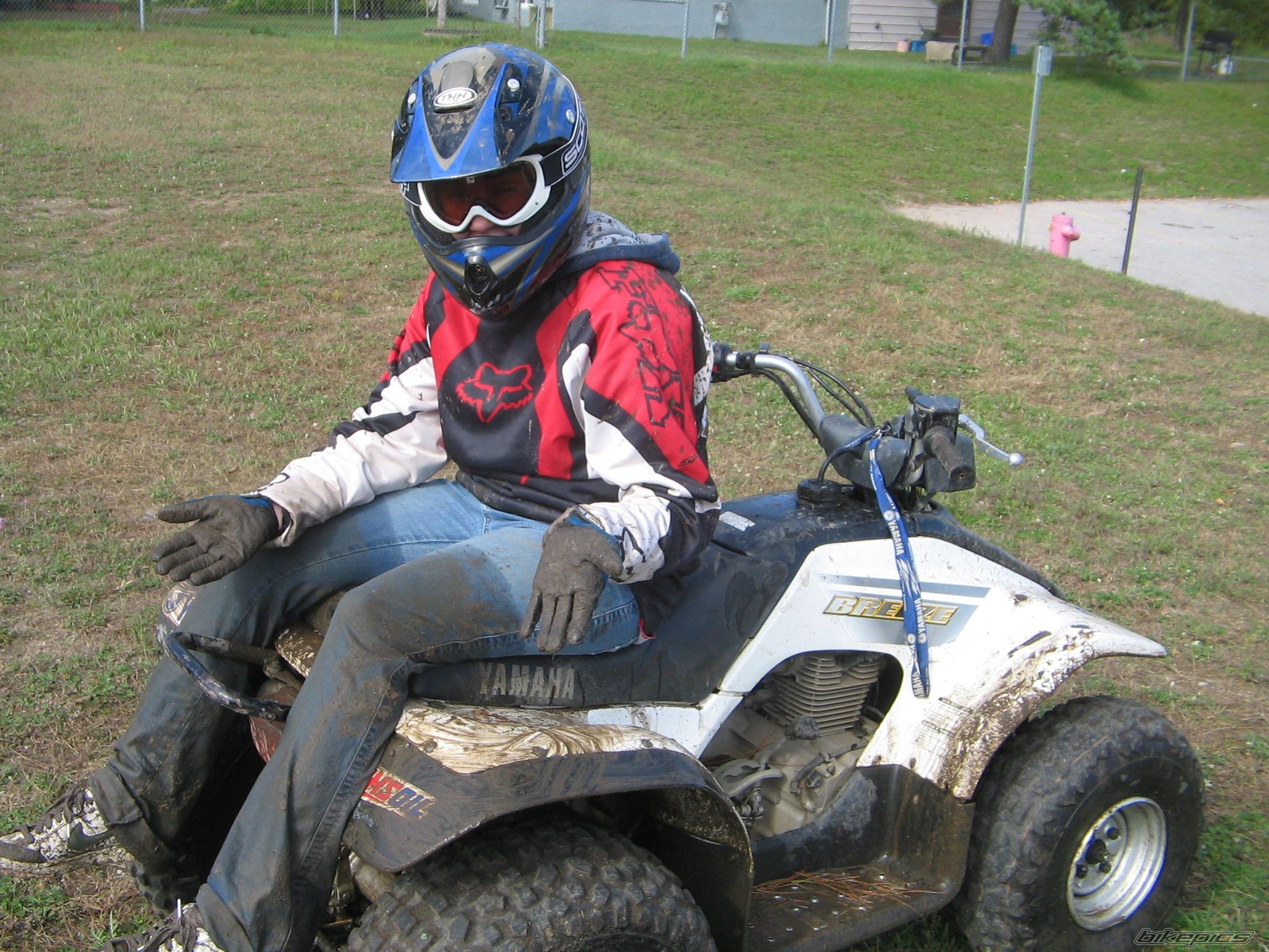 2002 YAMAHA BREEZE | Picture 775333 motorcycle photo