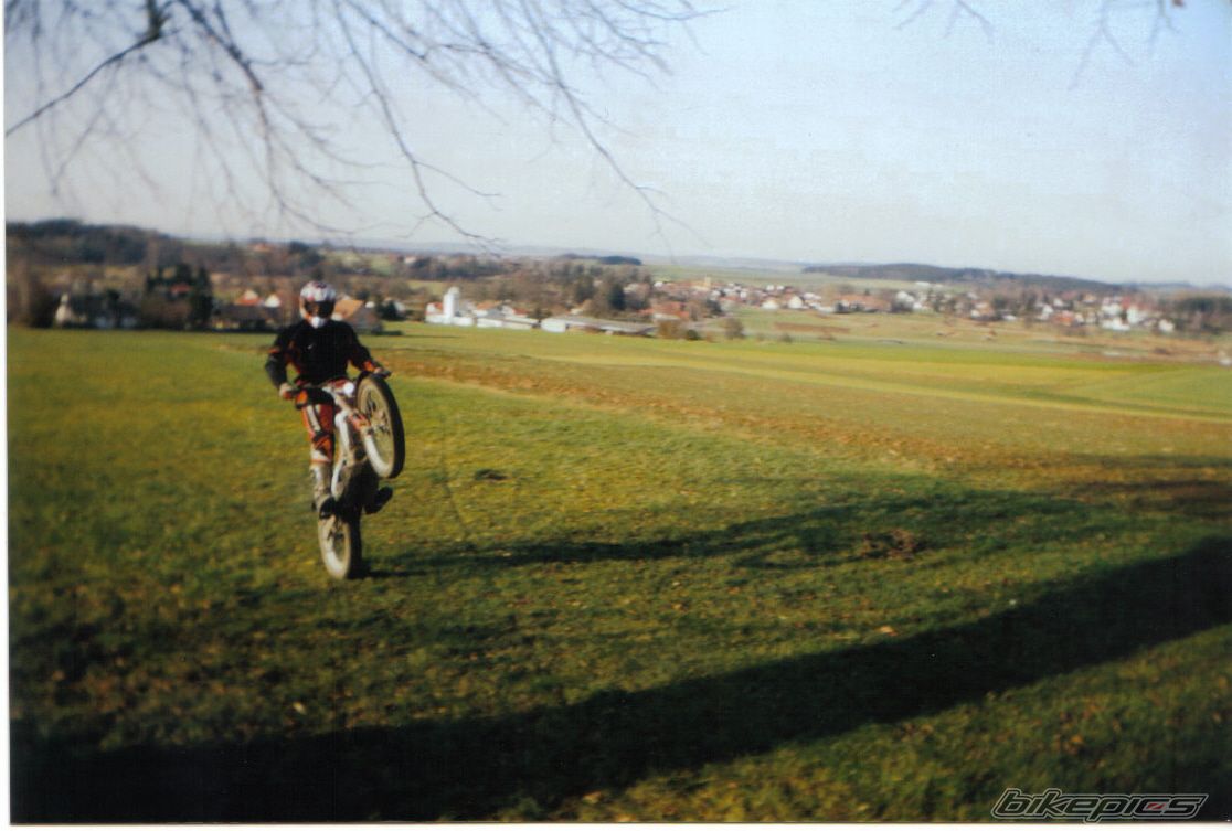 2001 BETA REV3 270 | Picture 775549 motorcycle photo
