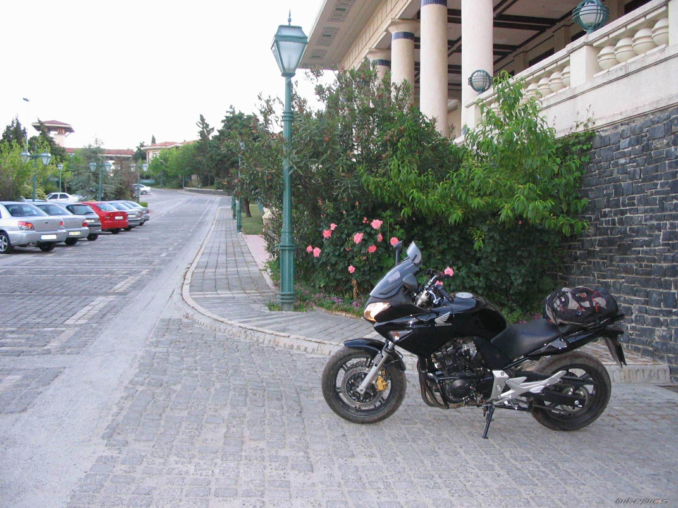 2006 HONDA CBF 600 | Picture 775663 motorcycle photo