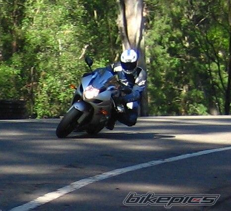 2003 SUZUKI GSX R 1000 | Picture 775990 motorcycle photo