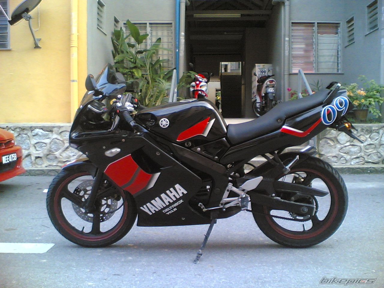 2007 YAMAHA TZM 150 | Picture 776067 motorcycle photo