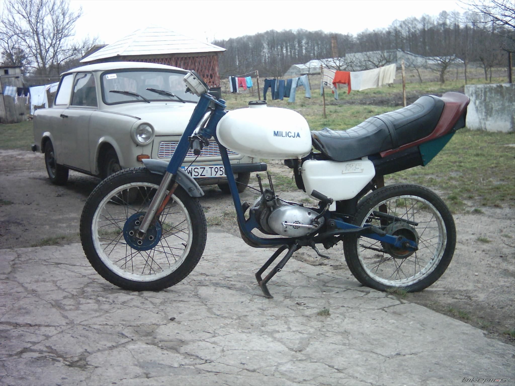 1990 WSK 125 | Picture 776323 motorcycle photo
