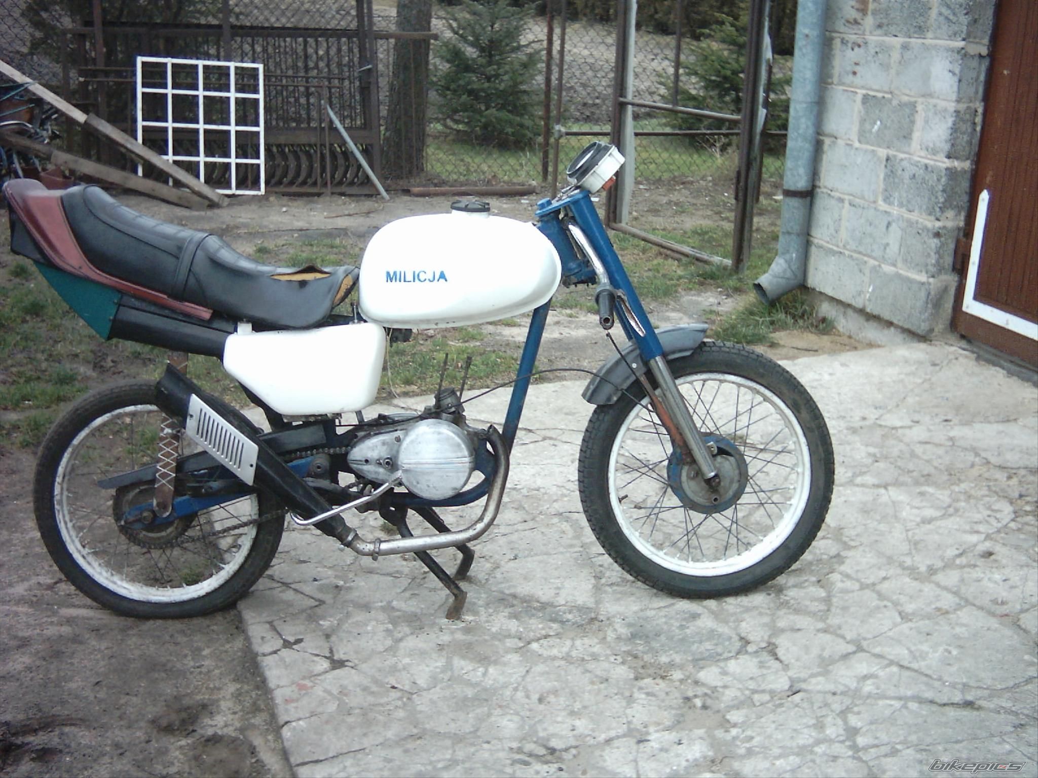 1990 WSK 125 | Picture 776326 motorcycle photo