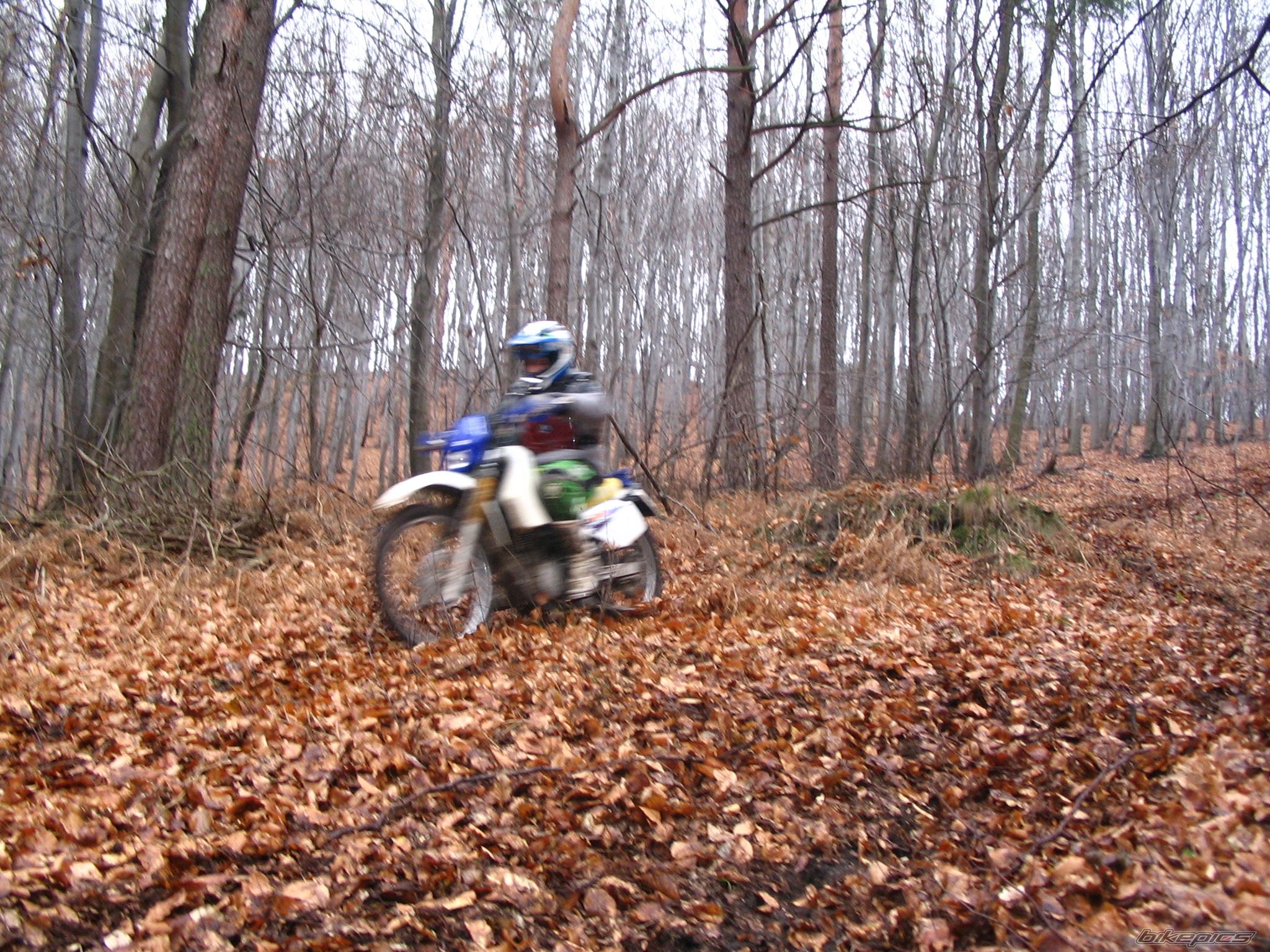1993 SUZUKI DR 350 | Picture 776351 motorcycle photo