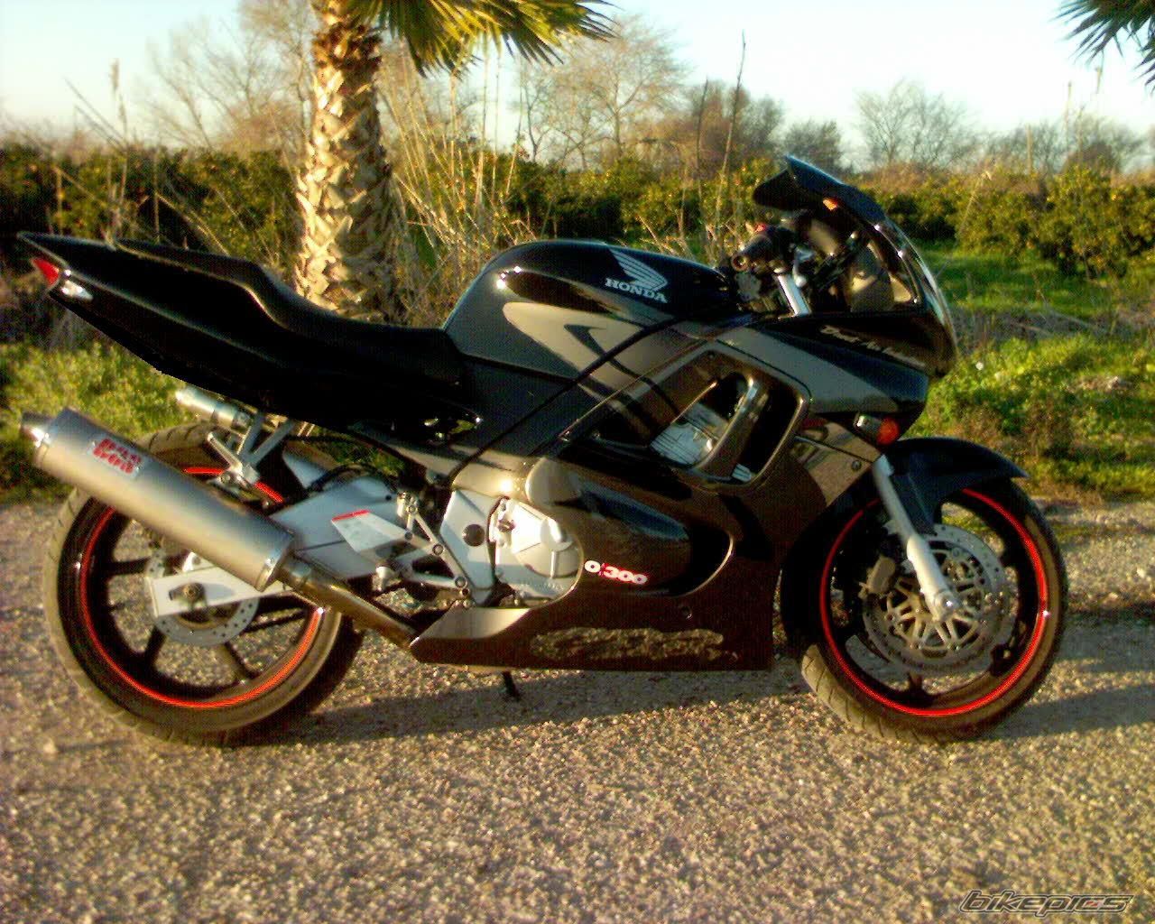 1998 HONDA CBR 600 | Picture 776793 motorcycle photo