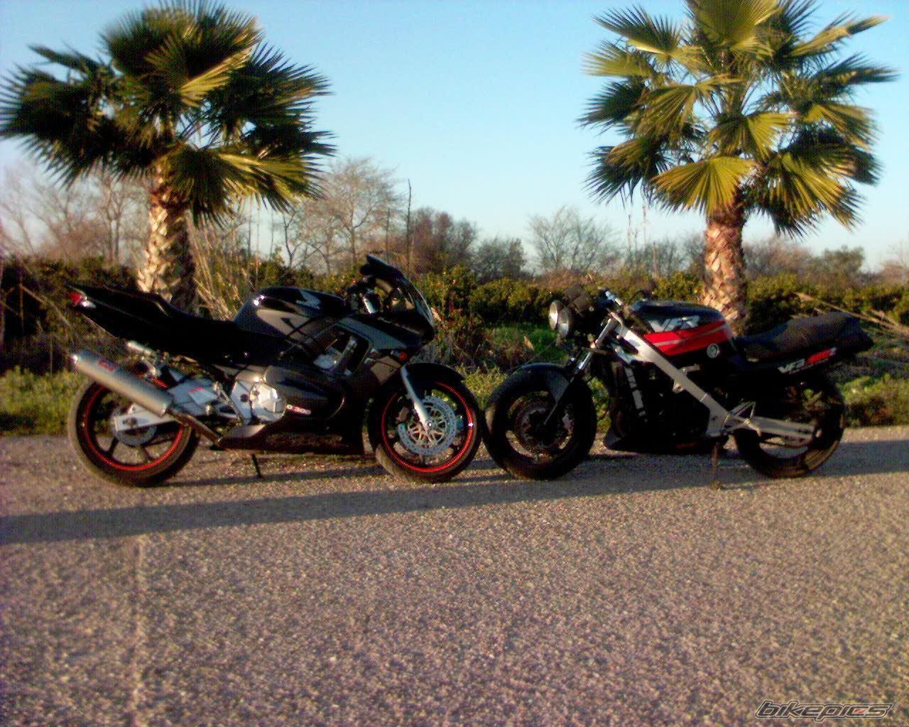 1998 HONDA CBR 600 | Picture 776797 motorcycle photo