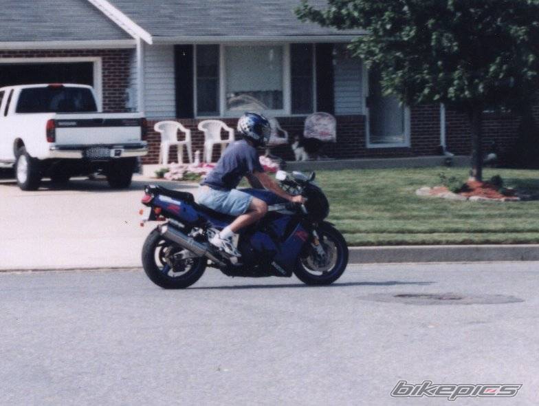 1992 SUZUKI GSX R 600 | Picture 7768 motorcycle photo