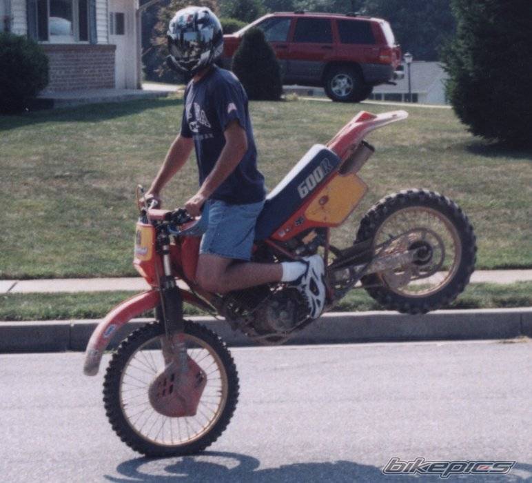 1986 HONDA XR 600 | Picture 7769 motorcycle photo