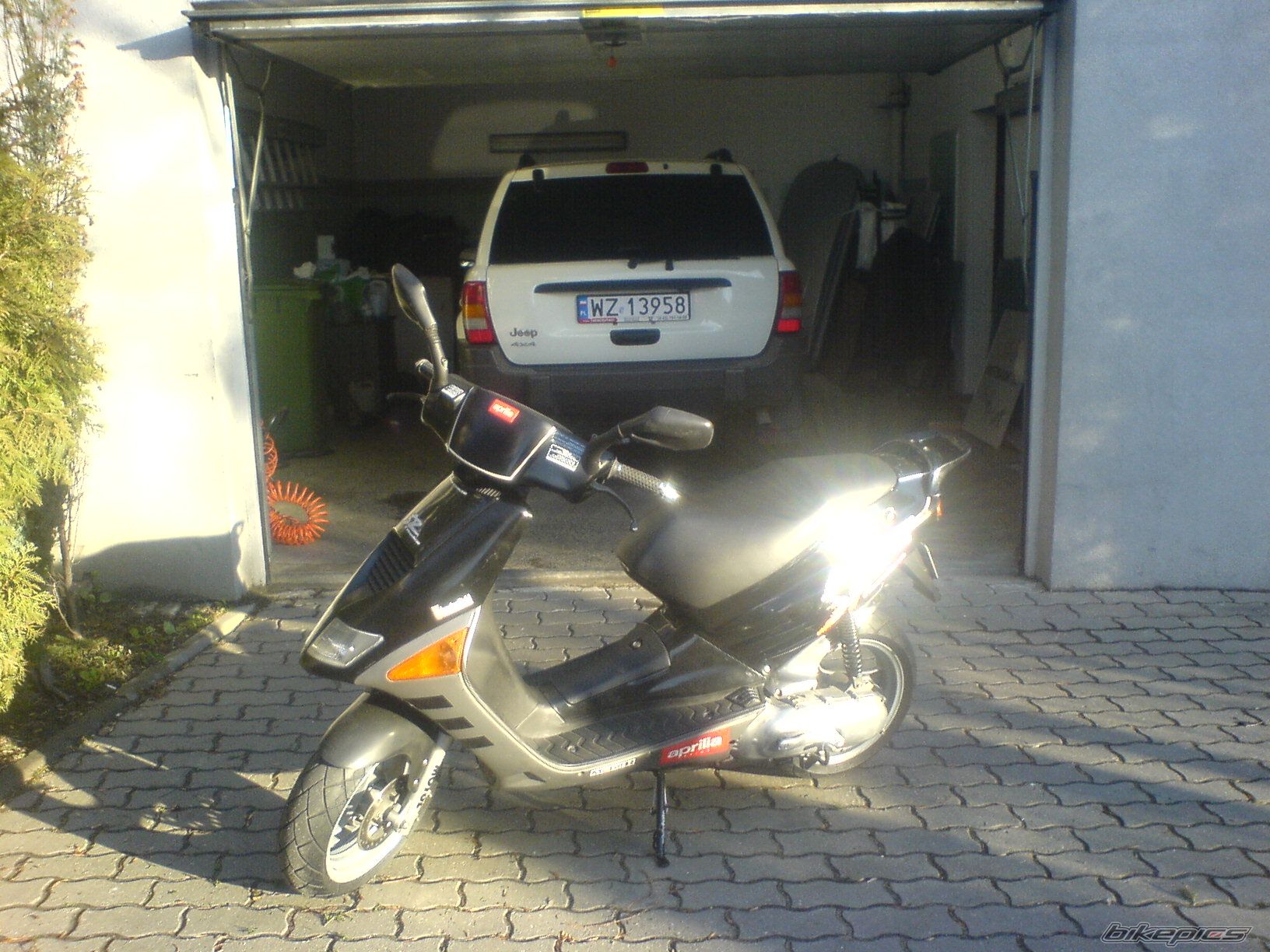 1994 APRILIA SR 50 | Picture 777240 motorcycle photo