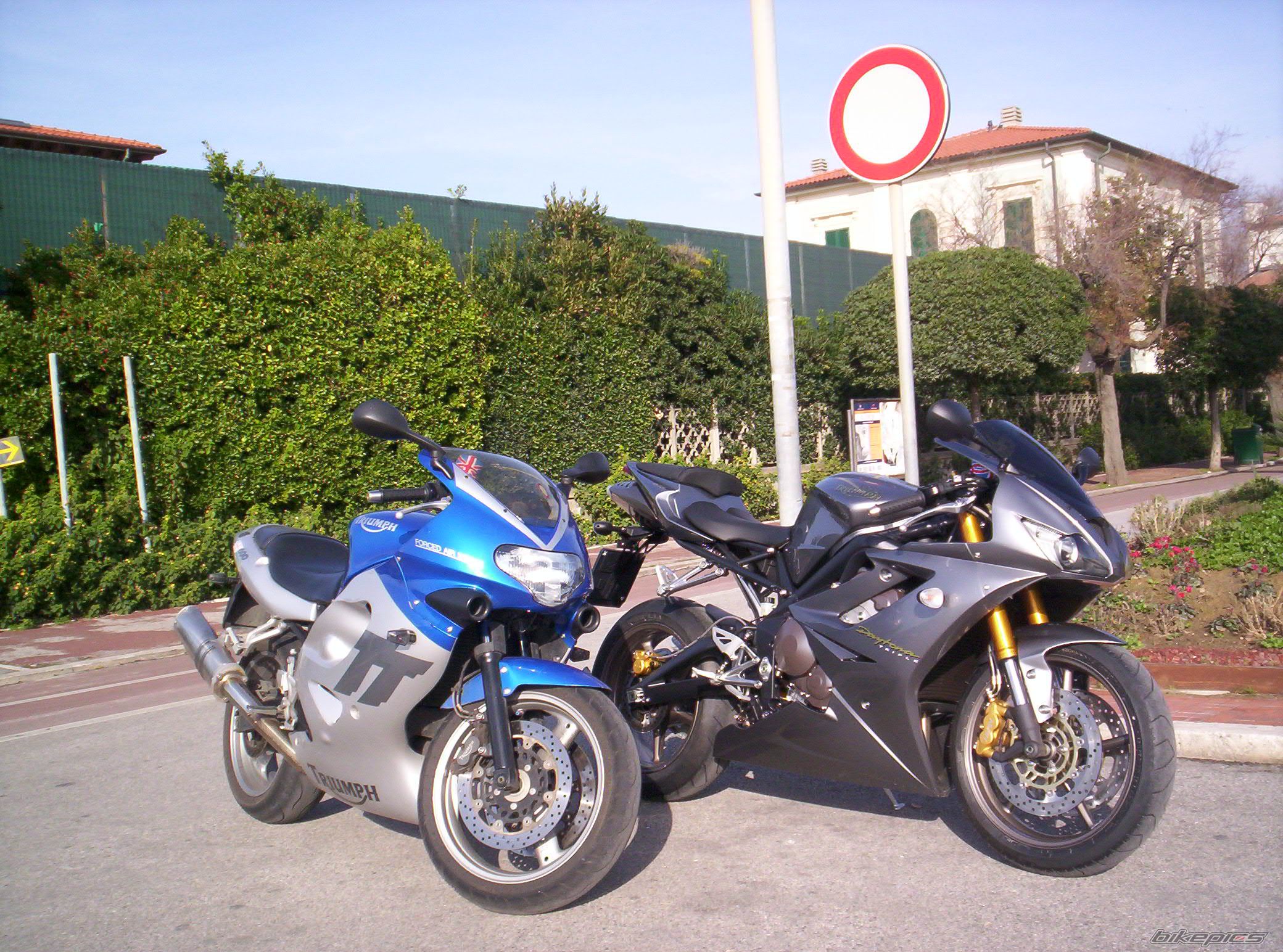 2007 TRIUMPH DAYTONA 675 | Picture 777256 motorcycle photo