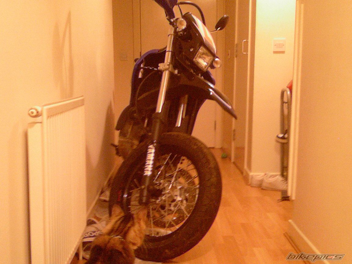 2006 YAMAHA DT 125X | Picture 777419 motorcycle photo