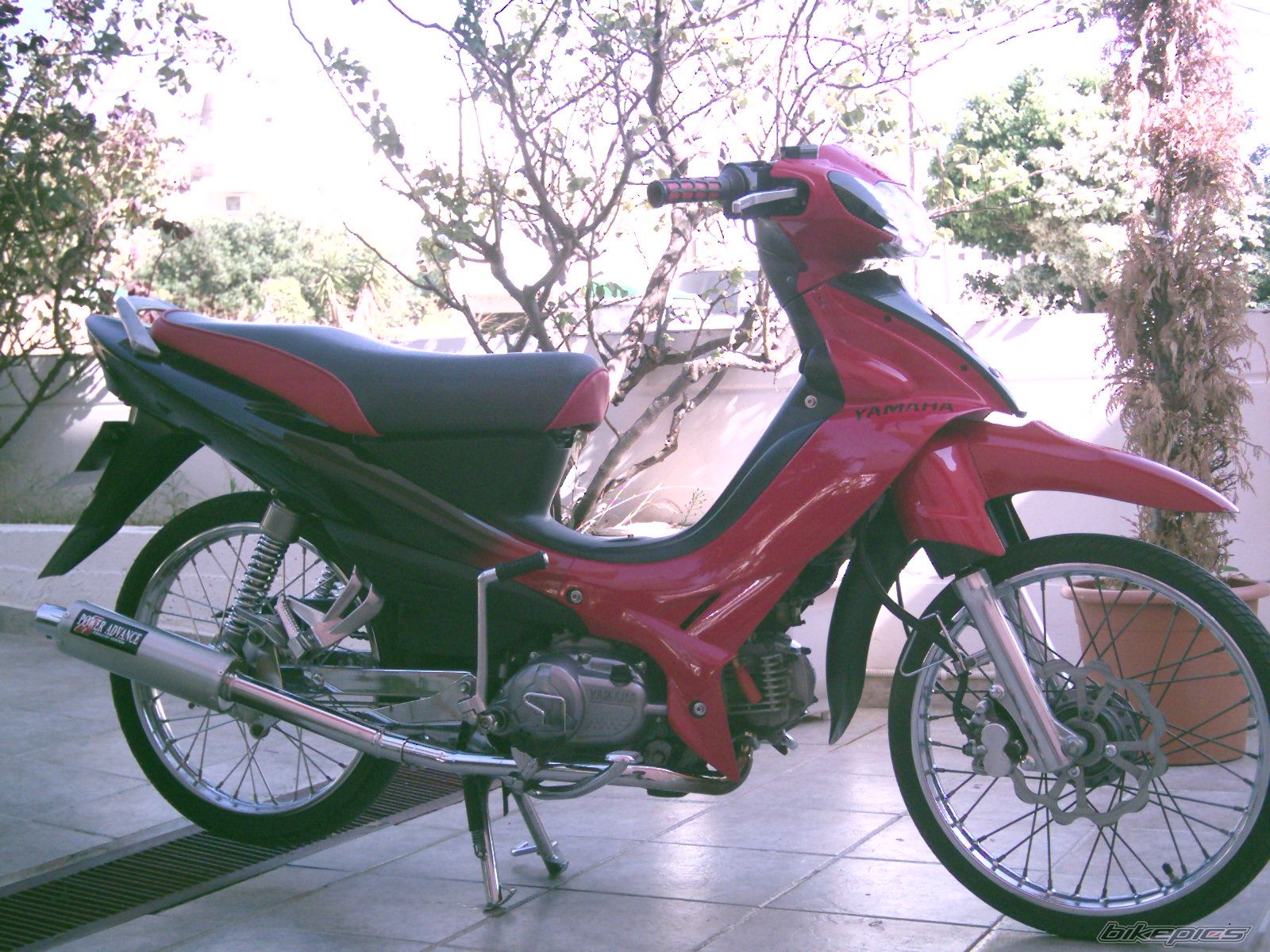 2005 YAMAHA CRYPTON R 115 | Picture 777452 motorcycle photo