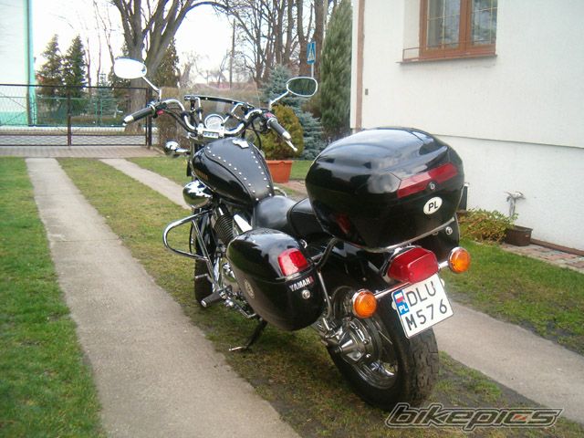 1993 YAMAHA VIRAGO 535 | Picture 777476 motorcycle photo