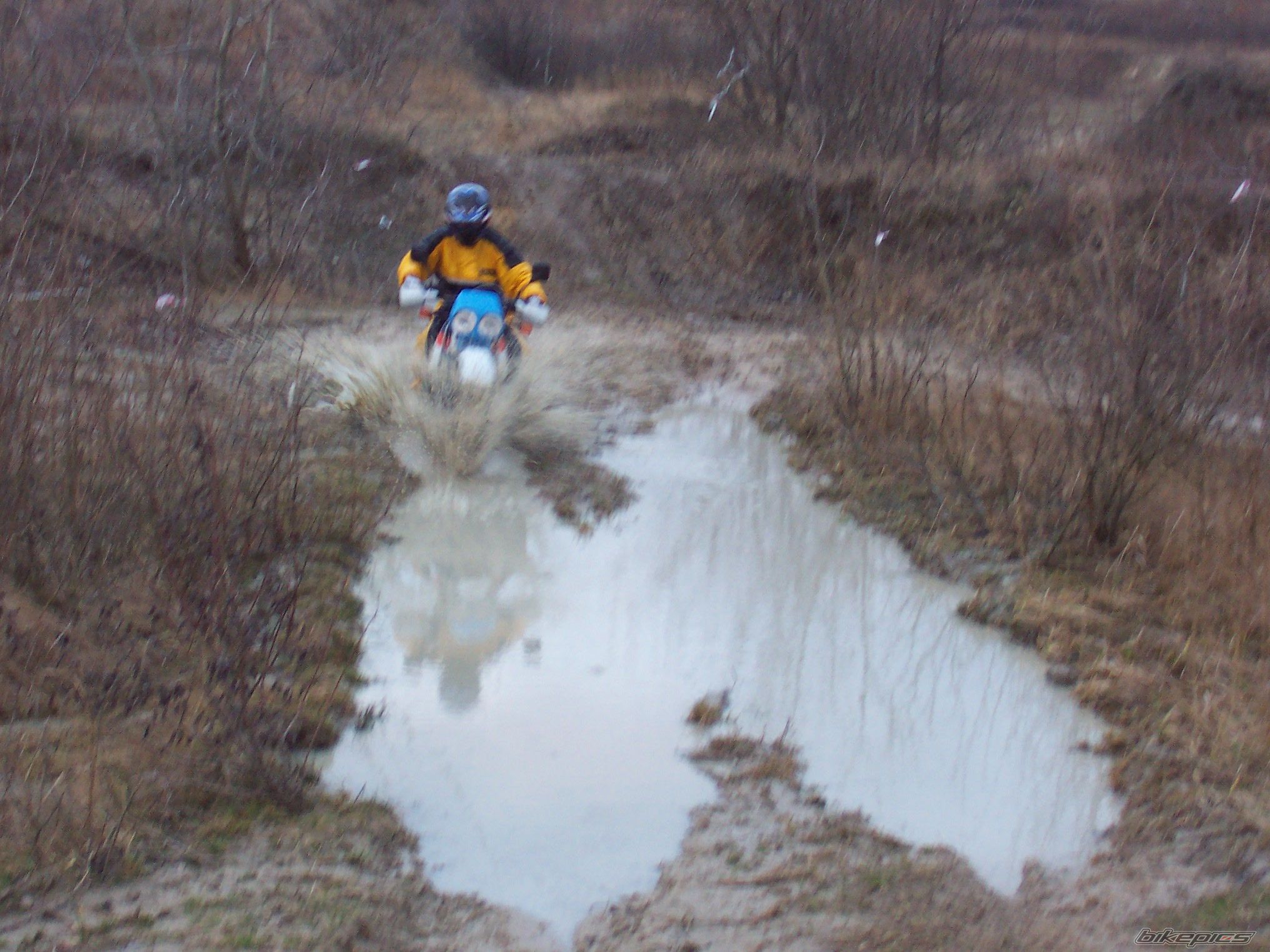 1986 HONDA XL 600 | Picture 777573 motorcycle photo