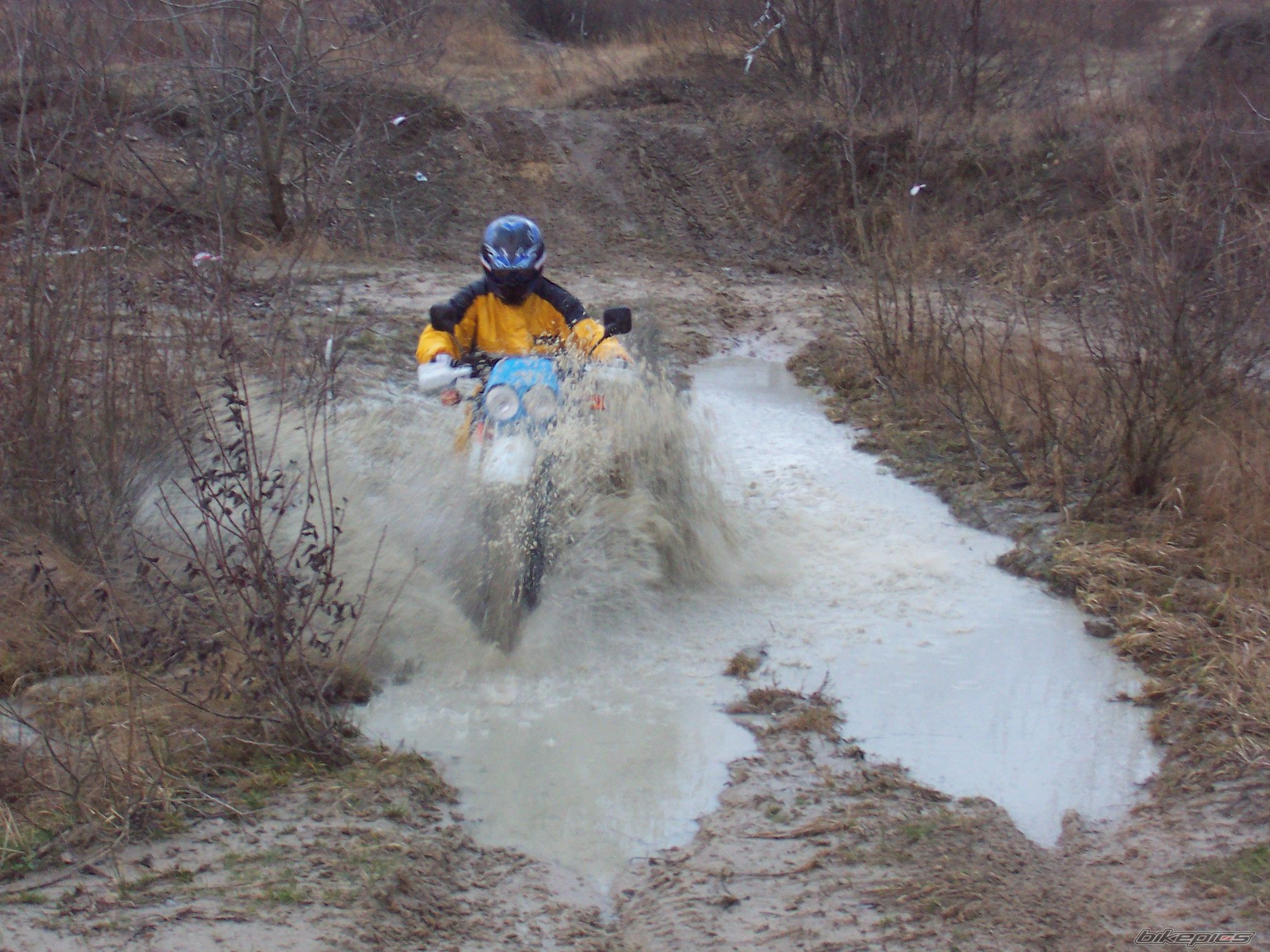 1986 HONDA XL 600 | Picture 777579 motorcycle photo
