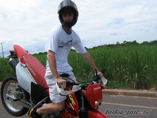 2005 HONDA XR 250 | Picture 777872 motorcycle photo