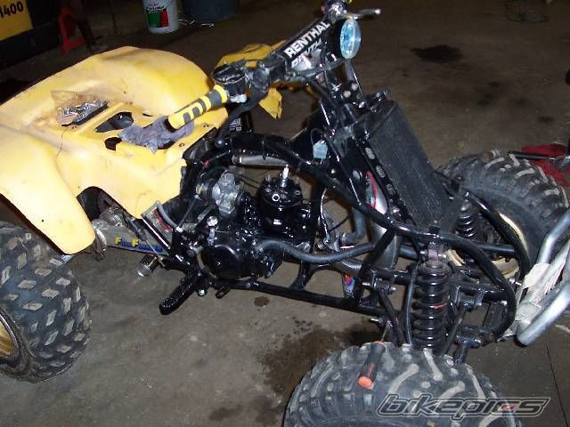 1986 SUZUKI QUADRACER 250 | Picture 778385 motorcycle photo