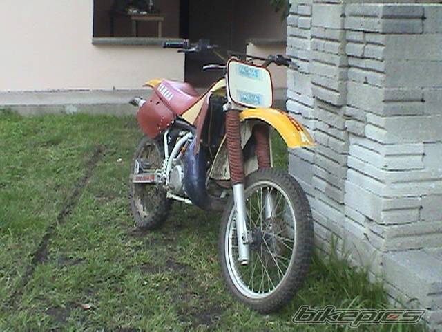 1992 YAMAHA YZ 250 | Picture 77866 motorcycle photo