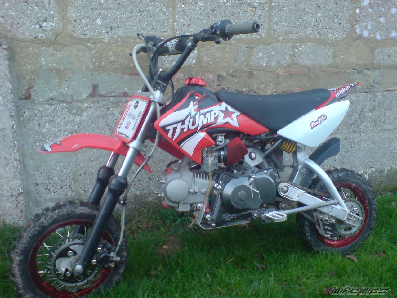 2005 THUMPSTAR PIT PRO 120CC | Picture 778873 motorcycle photo