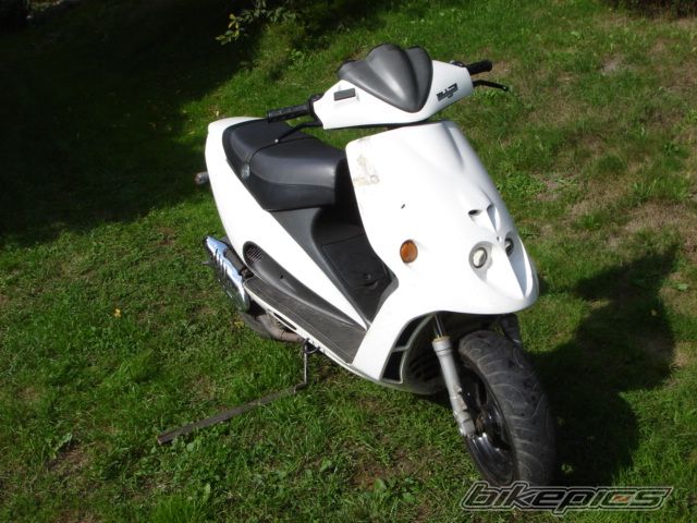 1998 MALAGUTI F 12 50 | Picture 779008 motorcycle photo