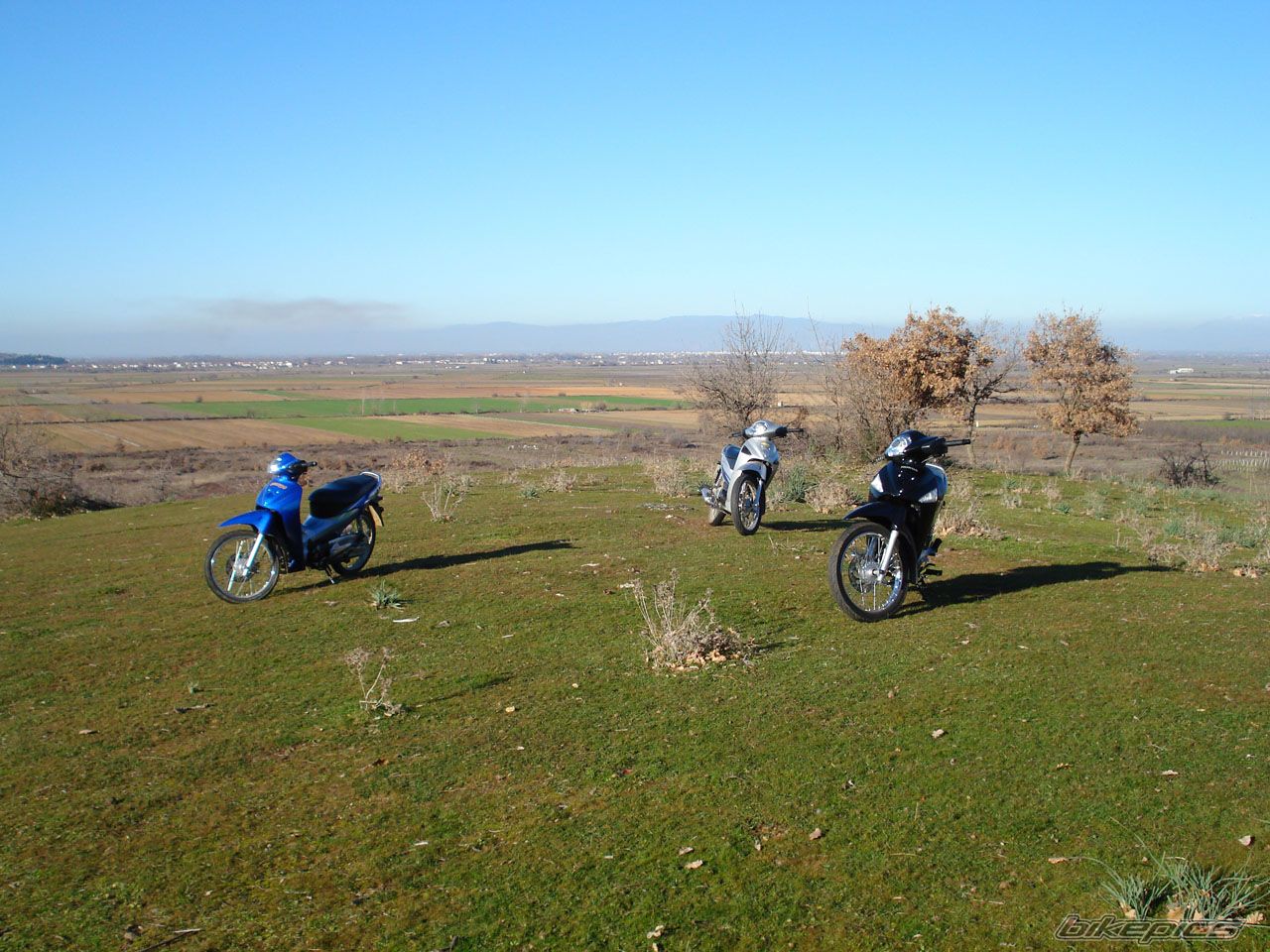 2007 HONDA INNOVA 125 | Picture 779400 motorcycle photo