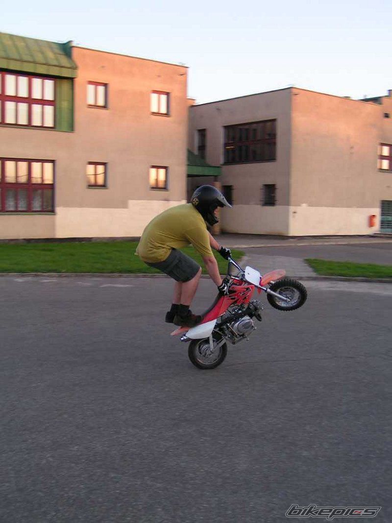 2006 HONDA CRF 50 | Picture 779664 motorcycle photo