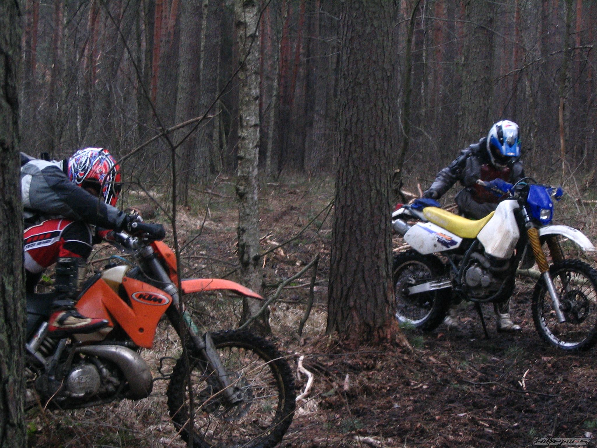 1993 SUZUKI DR 350 | Picture 780112 motorcycle photo