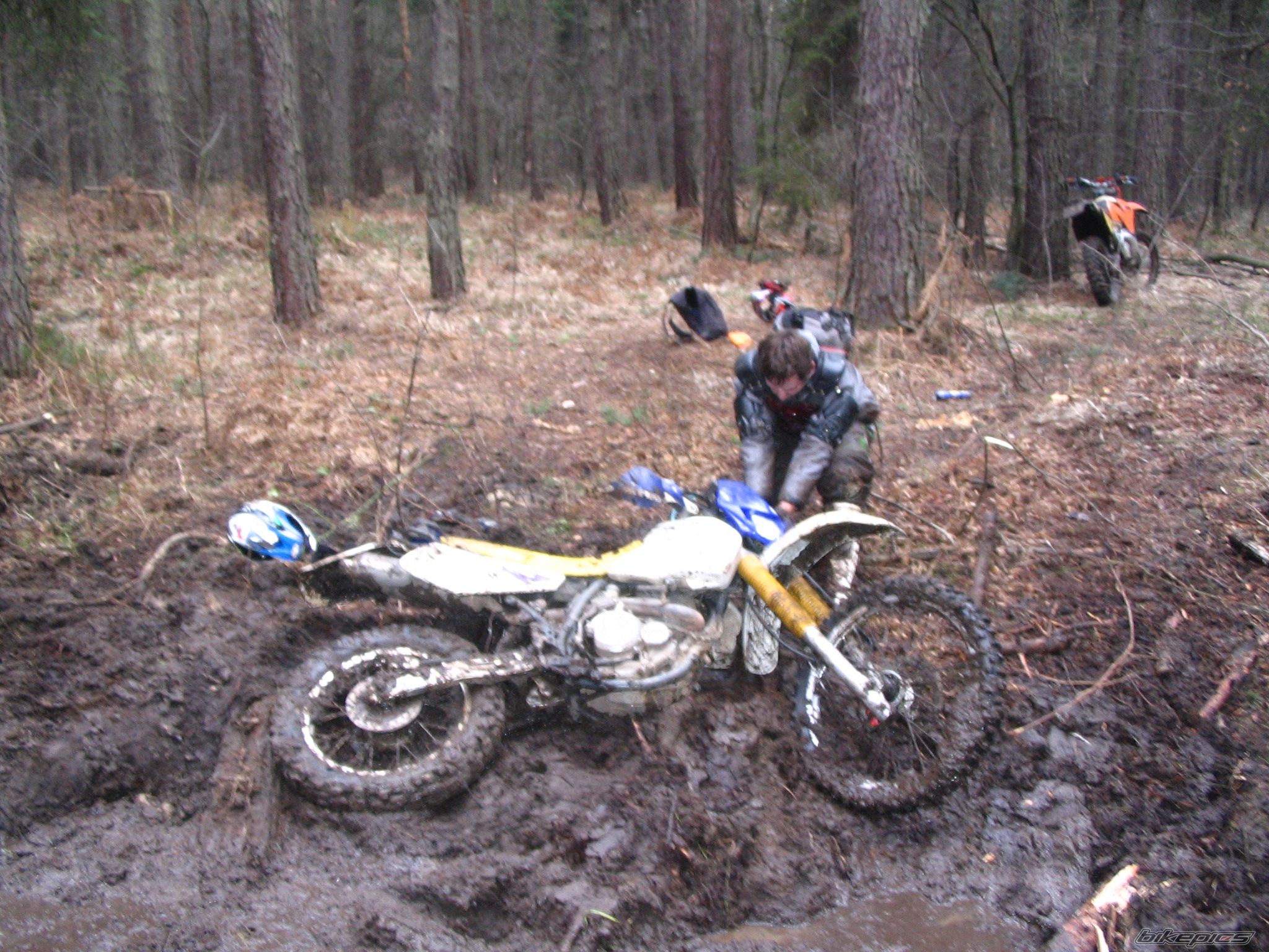 1993 SUZUKI DR 350 | Picture 780113 motorcycle photo
