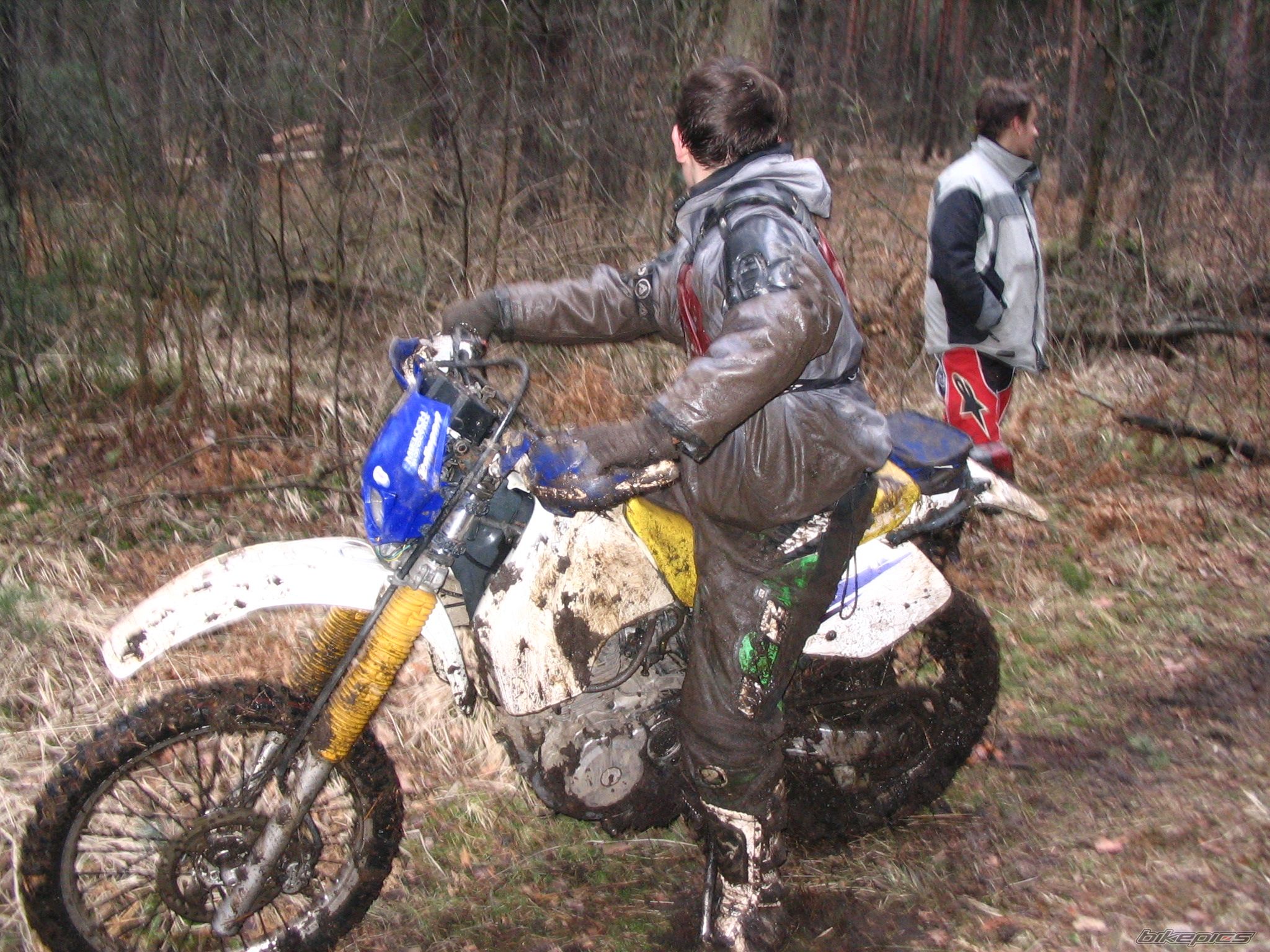 1993 SUZUKI DR 350 | Picture 780120 motorcycle photo