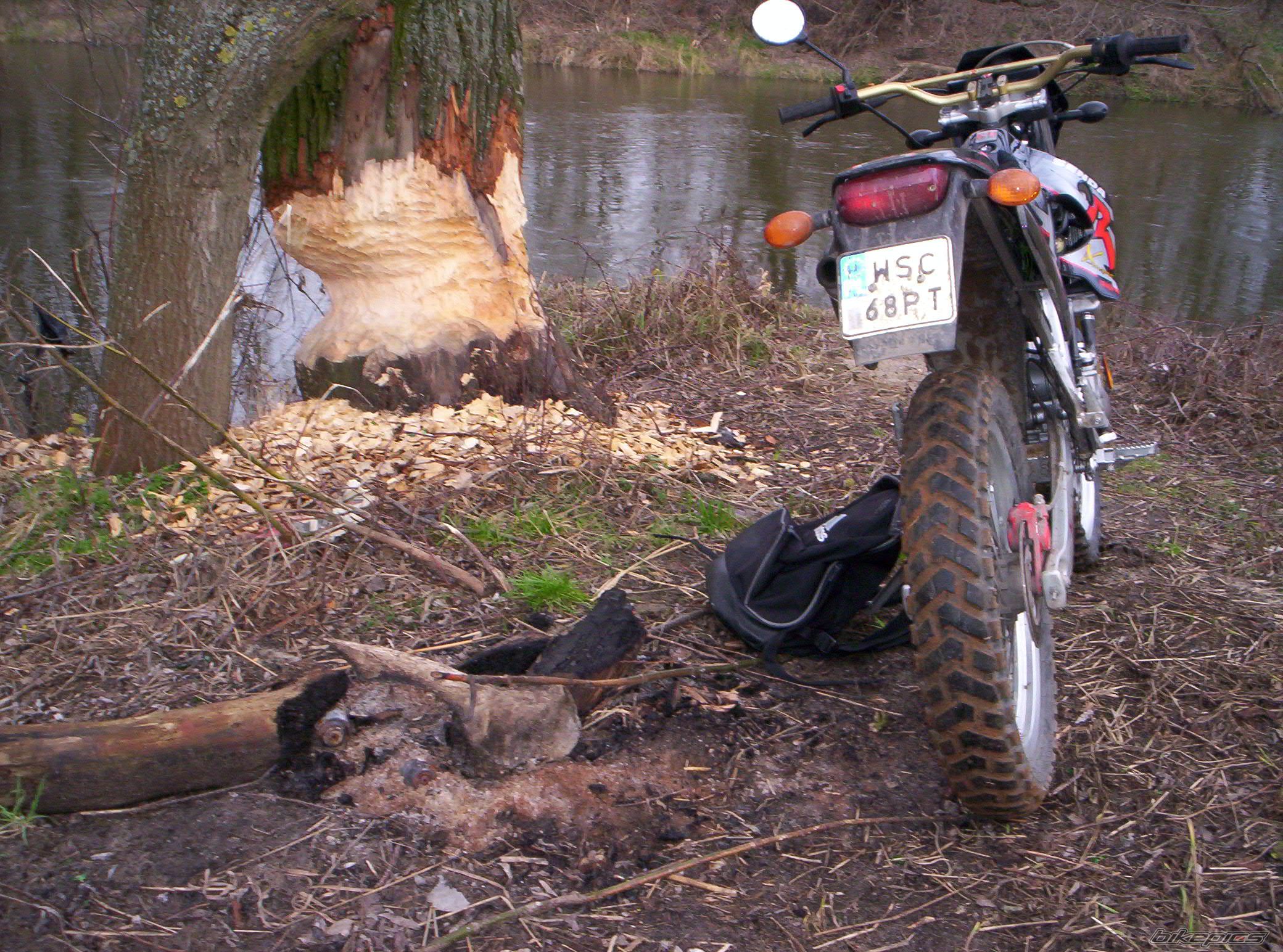 2002 DERBI SENDA X TREME R 50 | Picture 780191 motorcycle photo